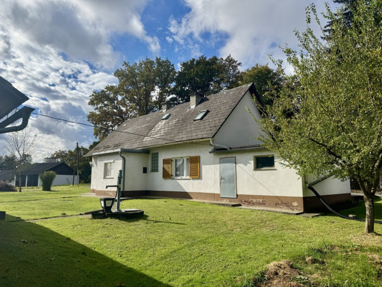 Land und Forstwirtschaft - 8421, Wolfsberg im Schwarzautal - Ein kleines Bauernhaus, ein großes Stück Freiheit – Naturparadies mit ca. 6.500 m² Grund am Waldrand!  Ein ursprüngliches Bauernhaus mit Wirtschaftsgebäude, Erdkeller, viel Wiese und Wald direkt vor der Haustür.