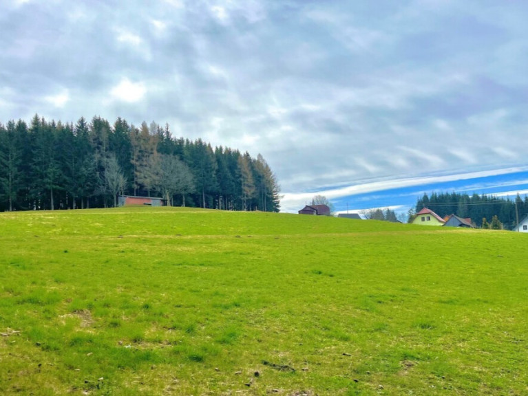 Grundstück - 9441, Vordertheißenegg - Baugrundstück für Bauträger  im Ausmaß von 5.696  m²  mit Almcharakter