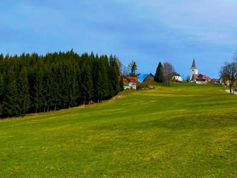 Grundstück - 9441, Vordertheißenegg - Baugrundstück im Ausmaß von 1.737 m²  mit Almcharakter
Naturparadies Lavanttal