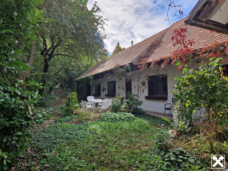 Haus - 3711, Großmeiseldorf - LIEBEVOLLES, SANIERUNGSBEDÜRFTIGES LANDHAUS IN GRÜNRUHELAGE MIT GESCHLOSSENEM INNENHOF UND HERRLICHEM GARTEN MIT ALTBAUMBESTAND