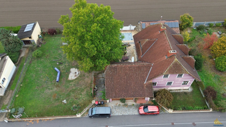 Haus - 3462, Absdorf - Großzügiges Familienhaus mit erstaunlichem Keller, Sauna, Schutzraum und Außenpool