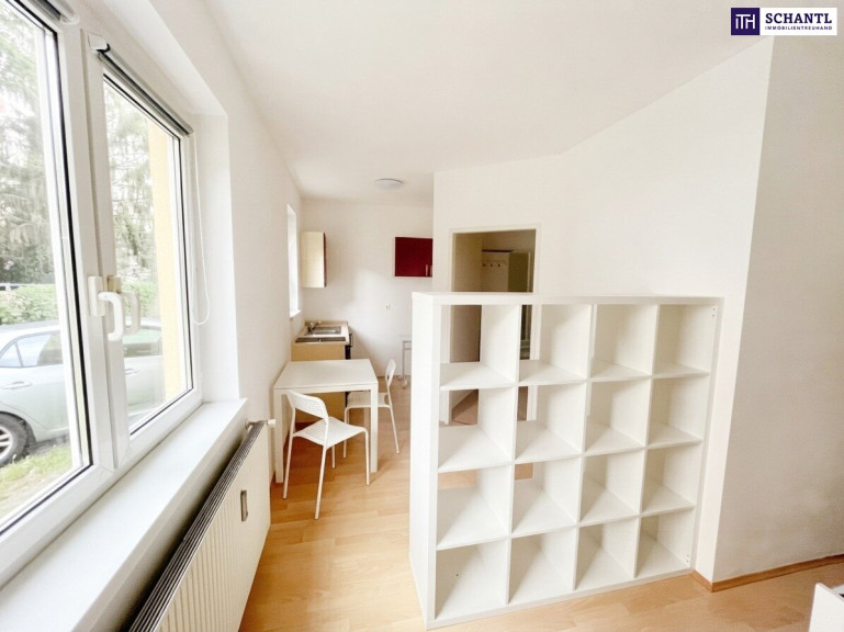 Wohnung - 8052, Graz - Provisionsfrei ins Portfolio: Südwohnung, 3,75 % Rendite p.a.